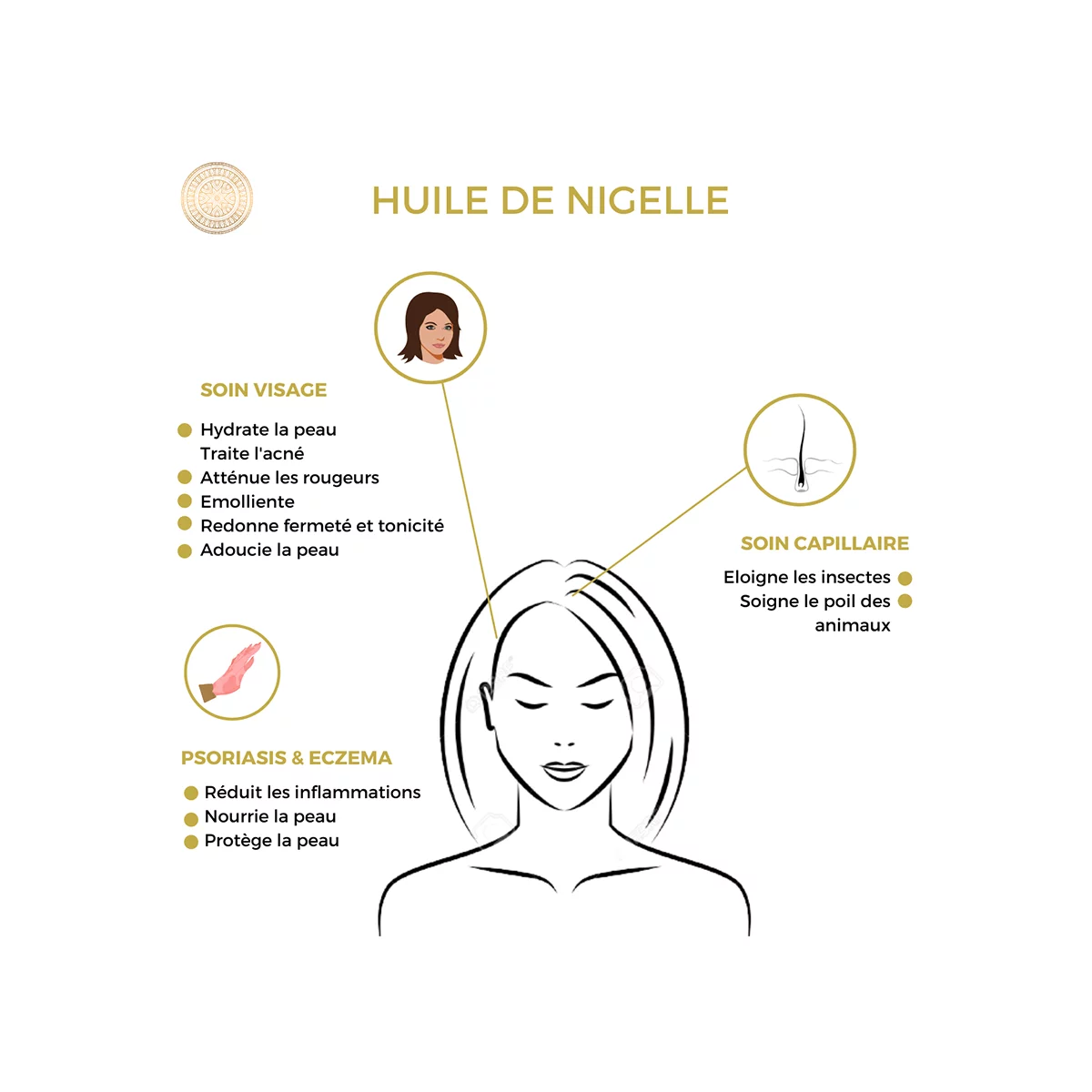 L'huile de Nigelle : composition, propriétés et utilisation